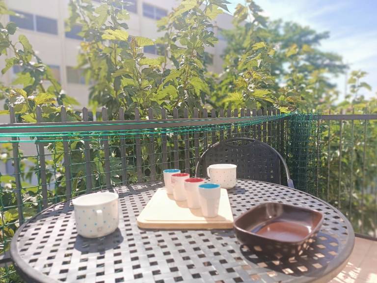 Beautiful holiday apartment | Close to the beach | Pets allowed — photo 5
