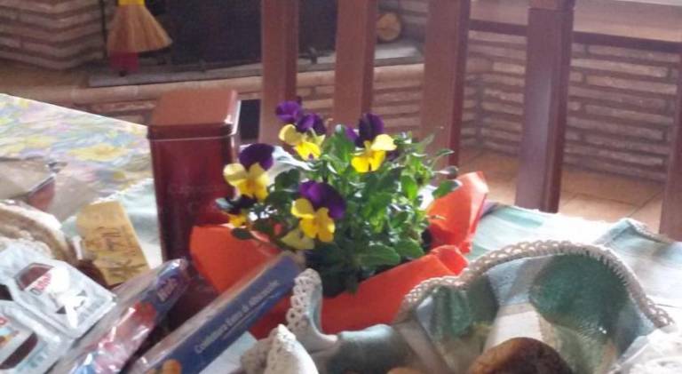 Agriturismo l'Oasi — photo 3