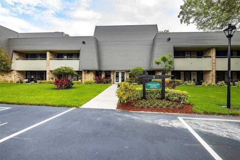Condo  Palm Harbor