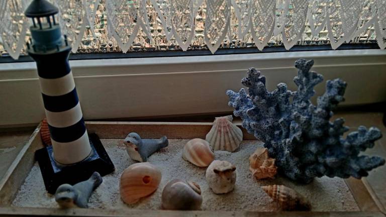 foto39