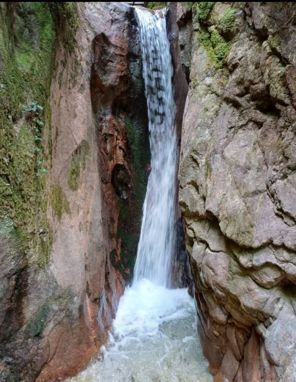 foto14