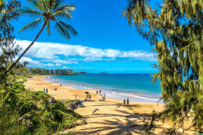 Condo Wailea
