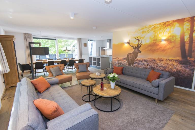 Bungalow  Bosgebied Hoenderloo