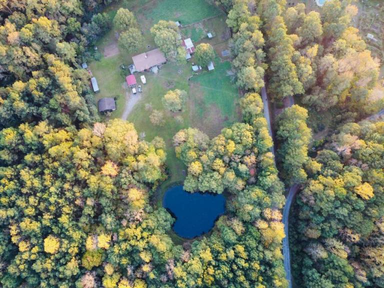 Serene Log Home w pond, fenced-in yard & pastures — photo 2