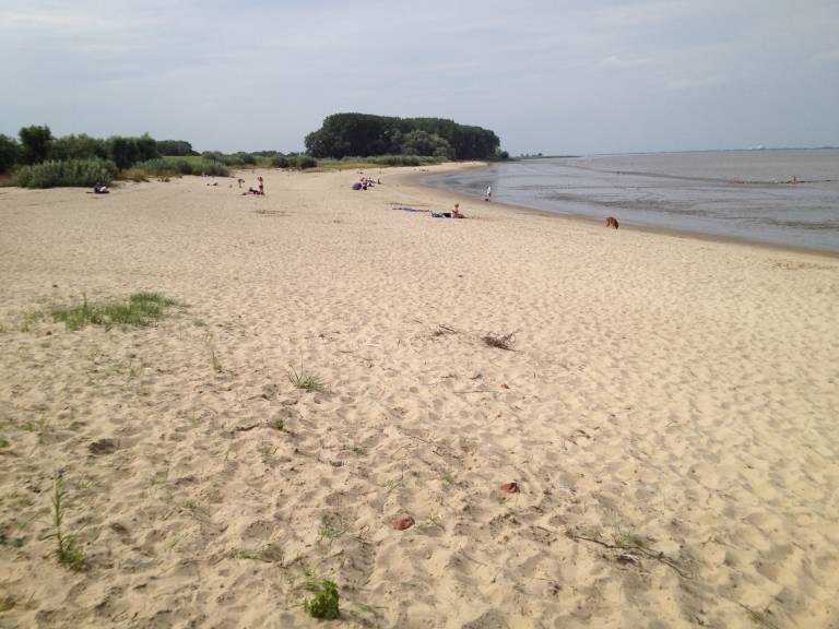 foto15