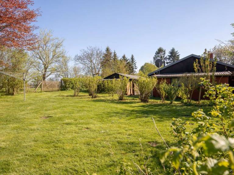 Gemütliches Ferienhaus in ruhiger Naturidylle — photo 3