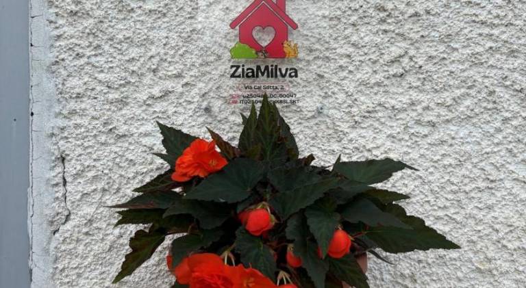 foto28