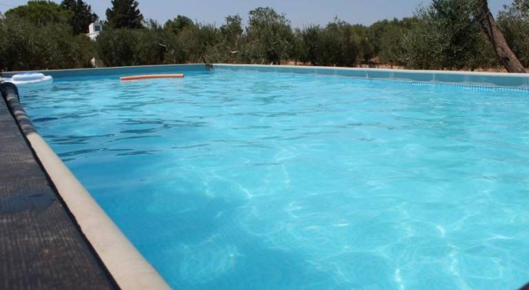 House with pool | Pets are welcome — photo 3