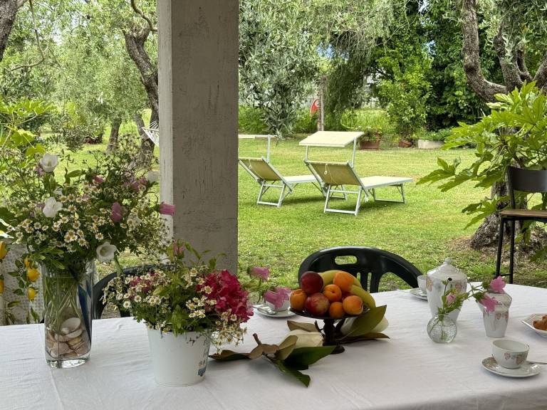 Farm with patio, yard & BBQ — photo 5