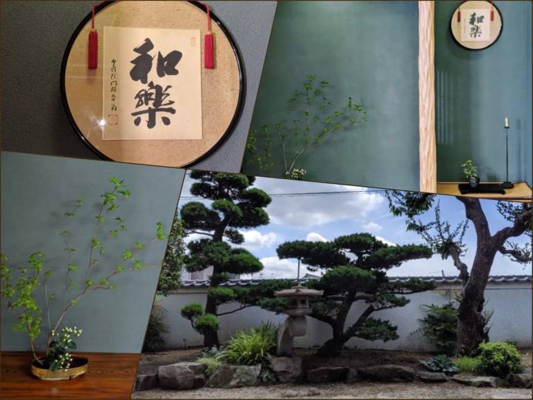 foto7