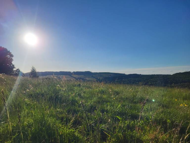 foto45