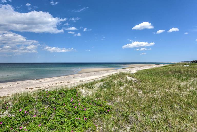 Bright Cape Cod Cottage, Half Mile to Beach — photo 3