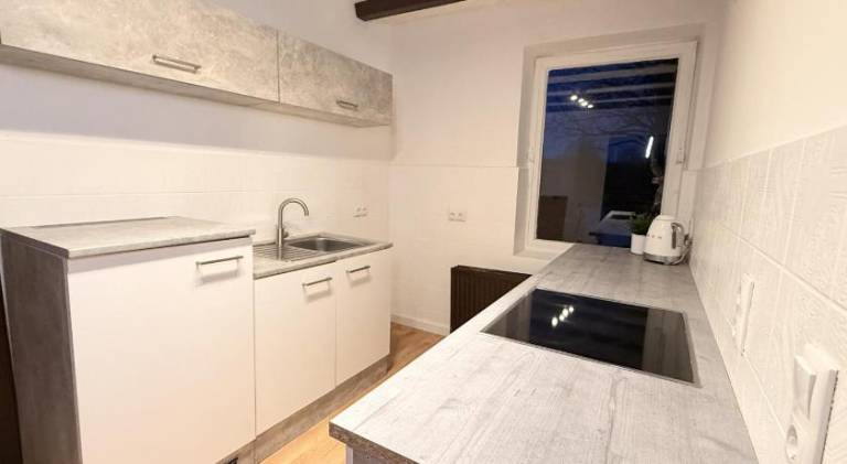 Rental apartment | Pets allowed — photo 3