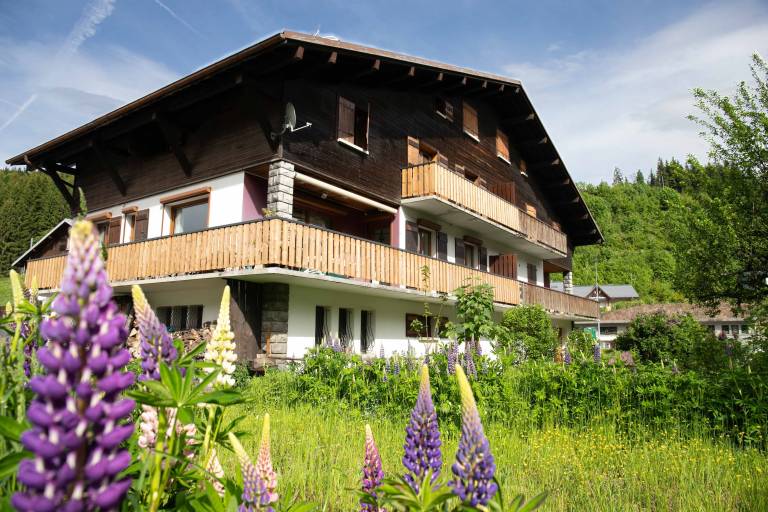 Apartment 'D3 - Chalet Tournier' with Mountain View, Shared Garden and Wi-Fi — photo 5
