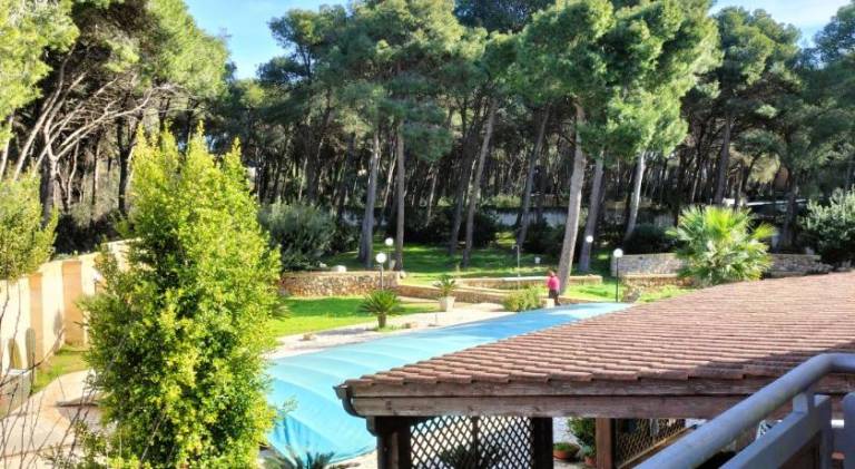 B&B Solepineta — photo 2