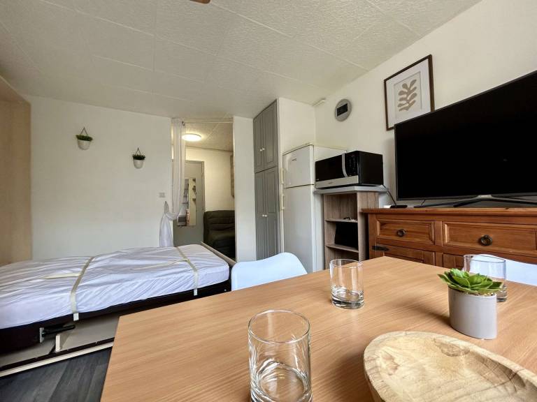 Studio with 1 room for 3 persons — photo 2
