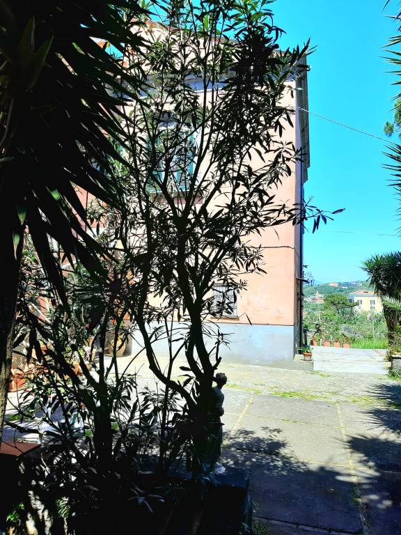 foto17