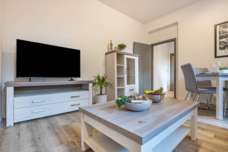 Apartment with fast internet & terrace — photo 4