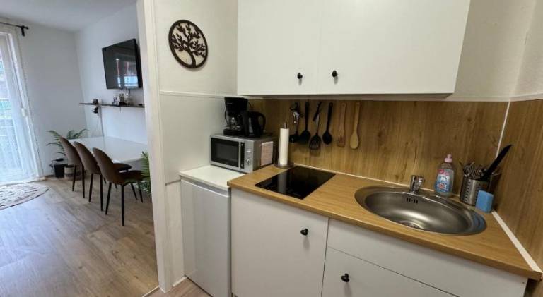 Rental apartment with 1 room for 3 persons — photo 3