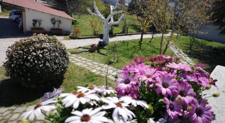 foto42