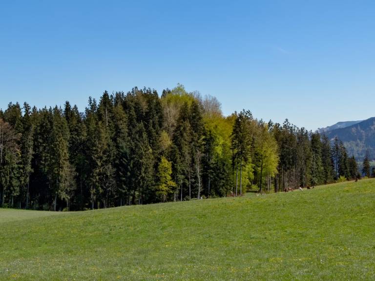 foto10