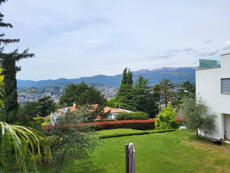foto31