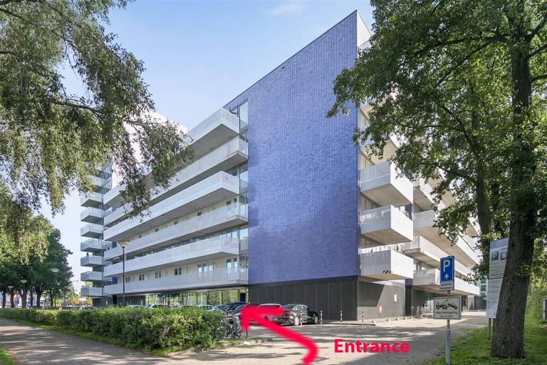 foto11