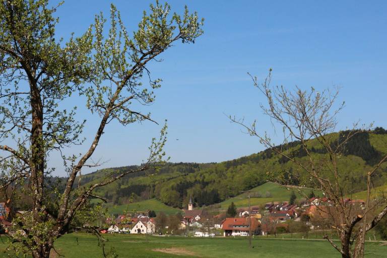 Ferienwohnung  Schuttertal