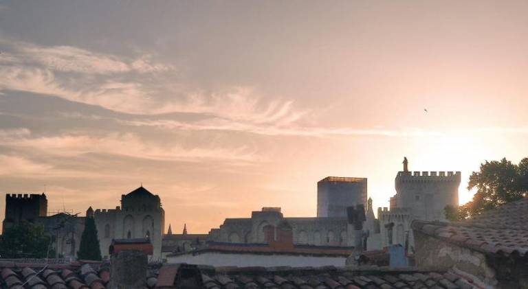 Maison intra muros, terrasses avec vue sur palais jaccuzzi et garage in Avignon