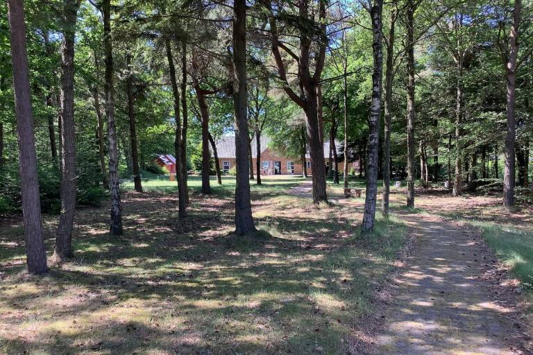 foto14