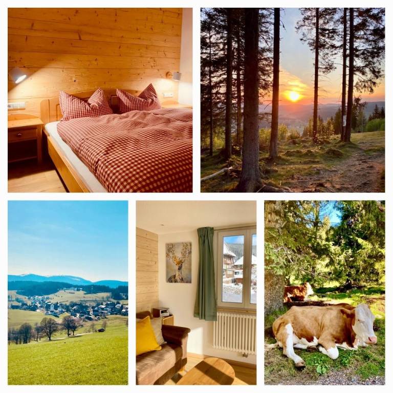 Ferienwohnung Lenzkirch