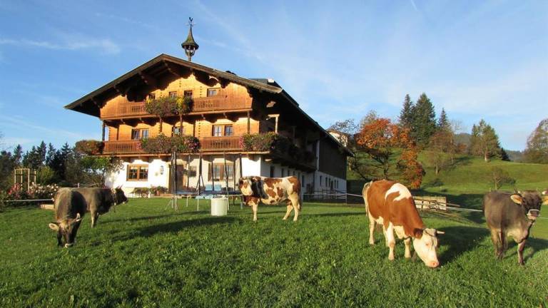 Ferienwohnung  Wilder Kaiser