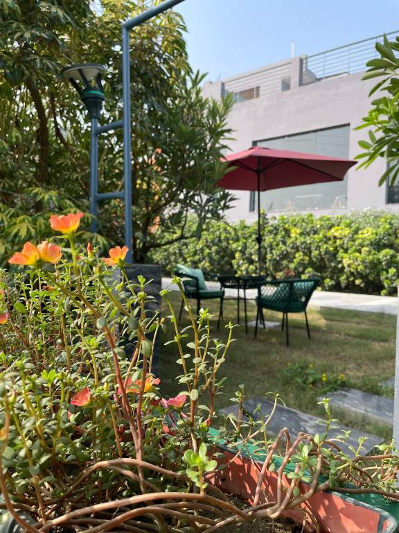 The VIAVARANASI Resort — photo 5