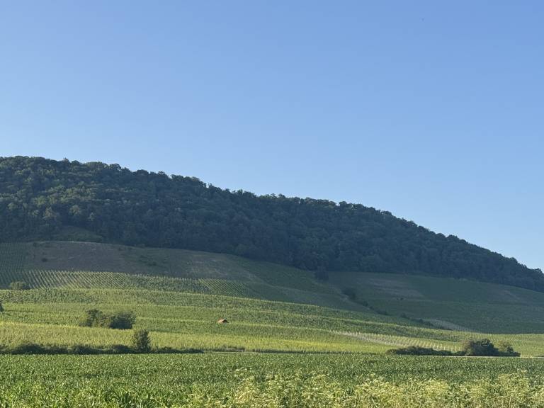 foto19