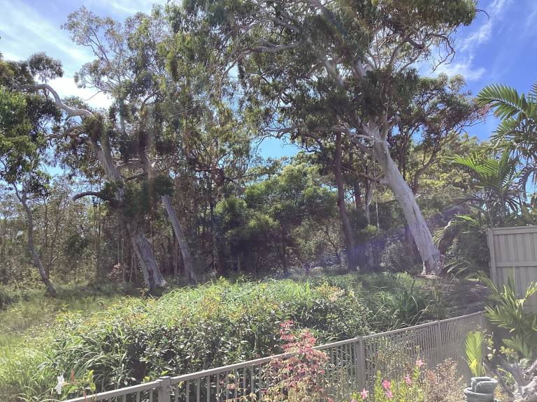 House Peregian Beach
