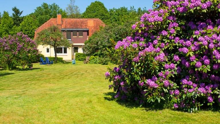 Ferienwohnung Hemmoor