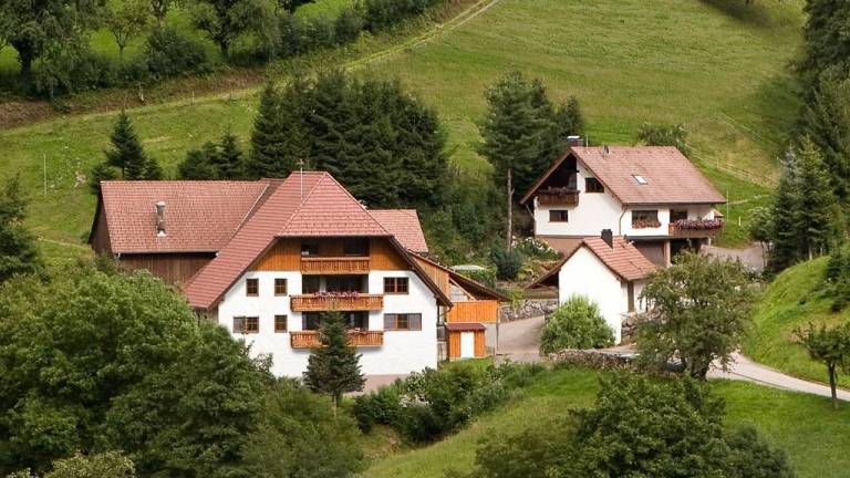 Ferienwohnung  Teningen