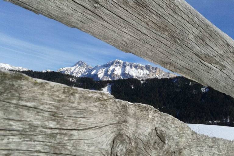 foto15