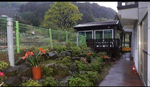 foto17