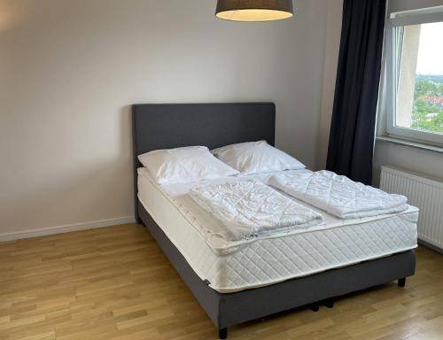 foto14