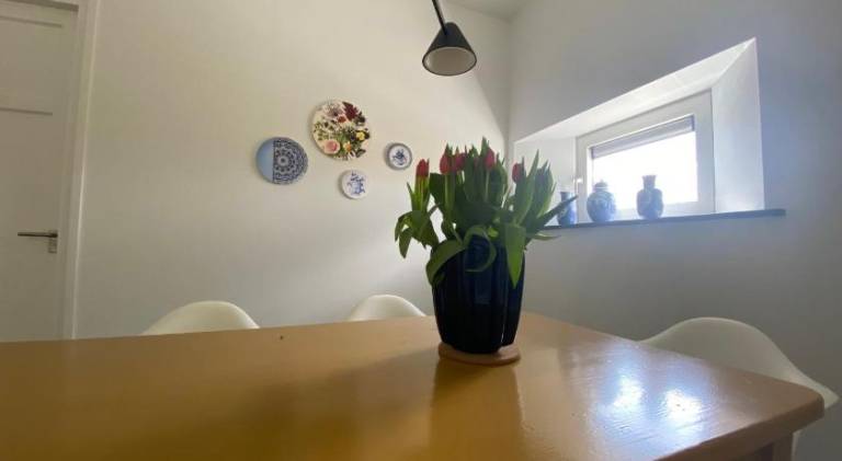 foto28