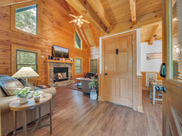 Family-friendly cabin with hot tub, pool & grill | Mountain view | Pet-friendly — photo 4