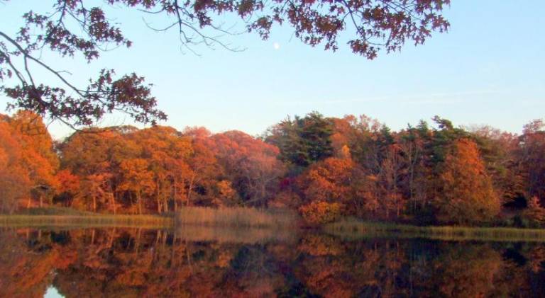 House on Chase Creek