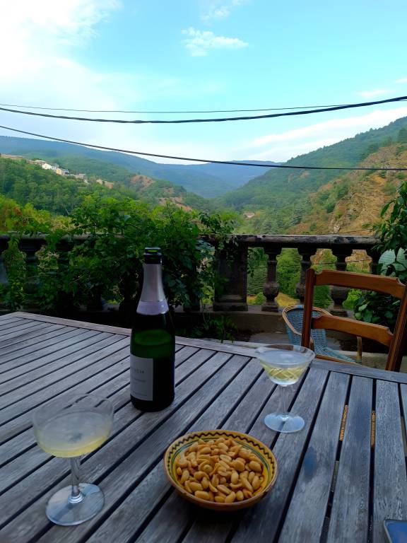 Lodge with patio, barbeque & fast internet | Mountain view — photo 4