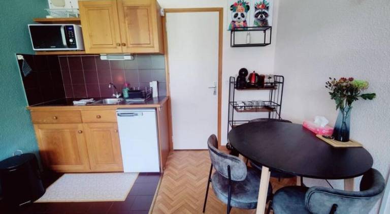 Apartment with 1 room for 4 persons — photo 4