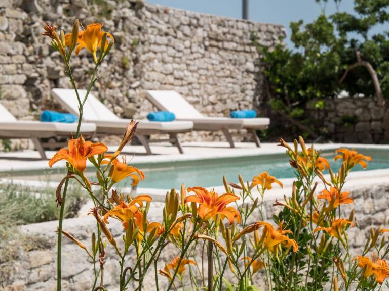 Vacation home with private pool, BBQ & garden — photo 4