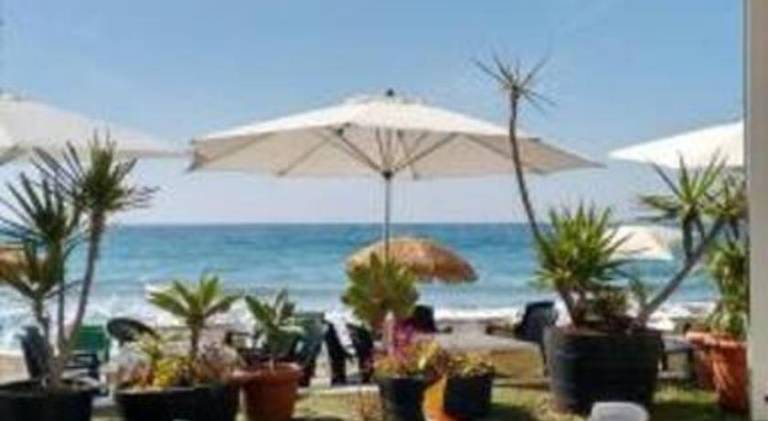 Holiday apartment | Next to the beach | Pets are welcome — photo 3
