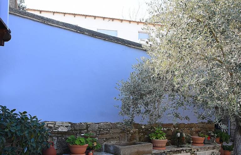 Apartment Agios Theodoros