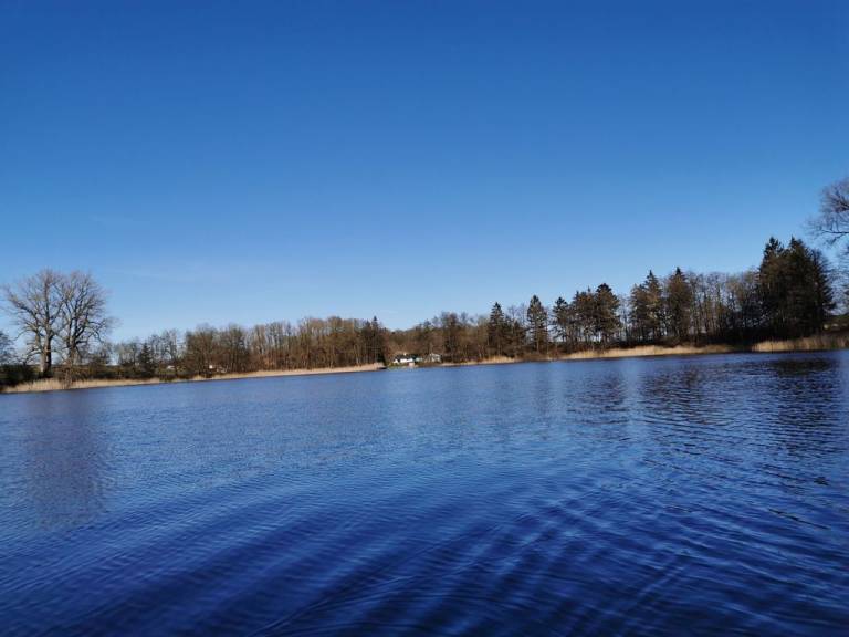 foto43