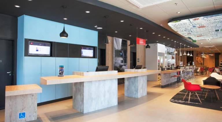 Ibis Paranagua — photo 5